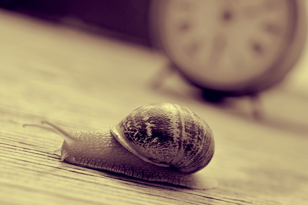 land snail and clock, in sepia tone a land snail and an old desktop clock on a wooden table, in sepia tone