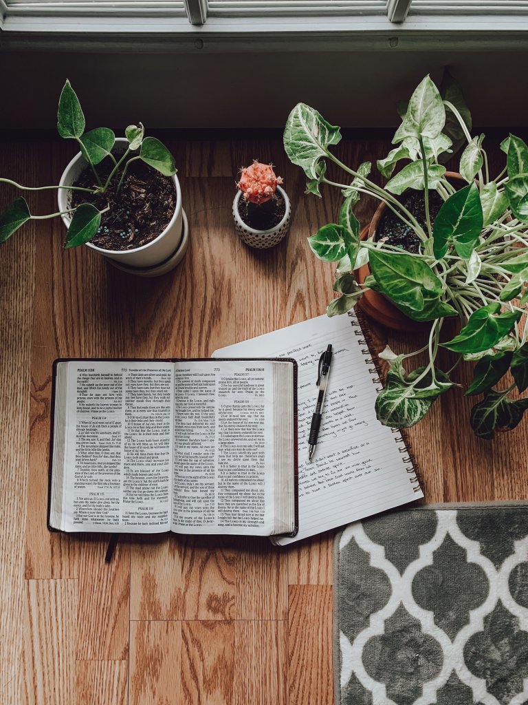 rachel-strong-VhcxuEGNXo4-unsplash rachel-strong-VhcxuEGNXo4-unsplash